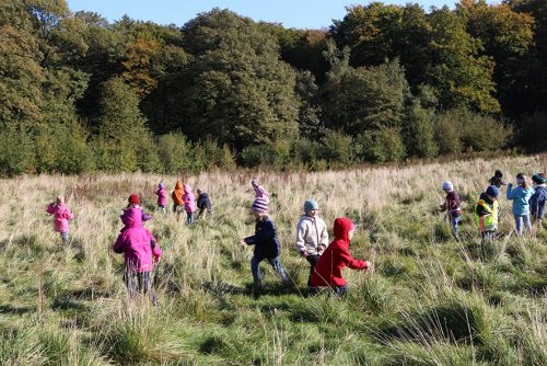 13 Wald und Wiesenzeit