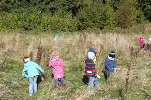 14 Wald und Wiesenzeit