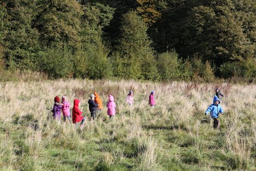 15 Wald und Wiesenzeit