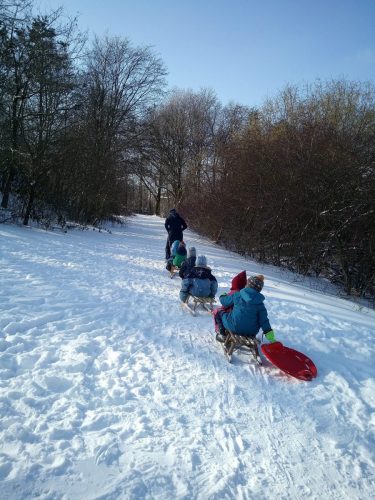 20 Schlittenausflug