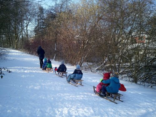 21 Schlittenfahrt